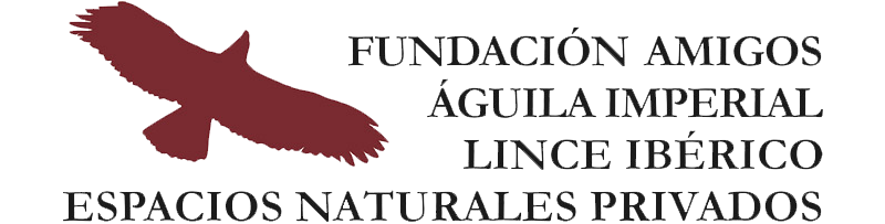 Fundación Amigos Águila Imperial Lince Ibérico Espacios Naturales Privados
