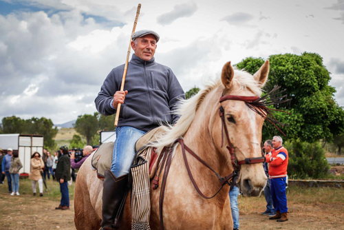 "Ambiente I Feria de la Trashumancia" por Tania Castro