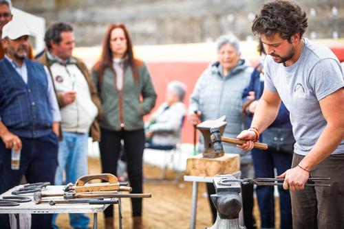 "Ambiente I Feria de la Trashumancia" por Tania Castro