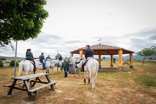 "Ambiente I Feria de la Trashumancia" por Tania Castro