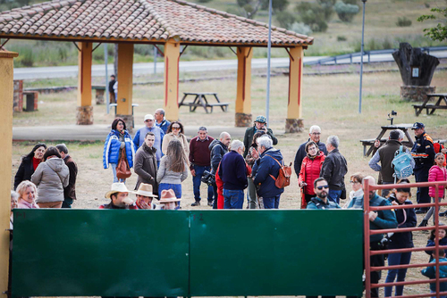 "Ambiente I Feria de la Trashumancia" por Tania Castro