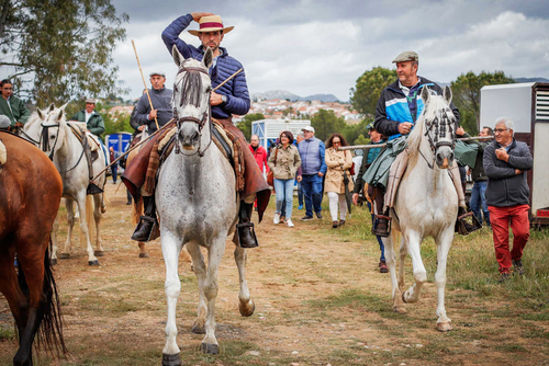 "Ambiente I Feria de la Trashumancia" por Tania Castro