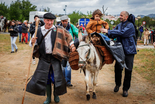 "Ambiente I Feria de la Trashumancia" por Tania Castro