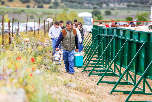 "Ambiente I Feria de la Trashumancia" por Tania Castro